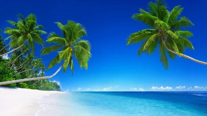 seashore under clear sky tropical beach wallpaper 2k 4k 5k