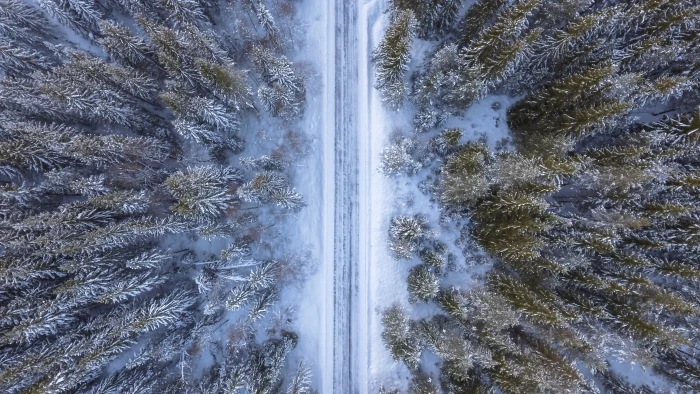 top view of pine trees Forest Road Aerial Cold above winter 2k 4k