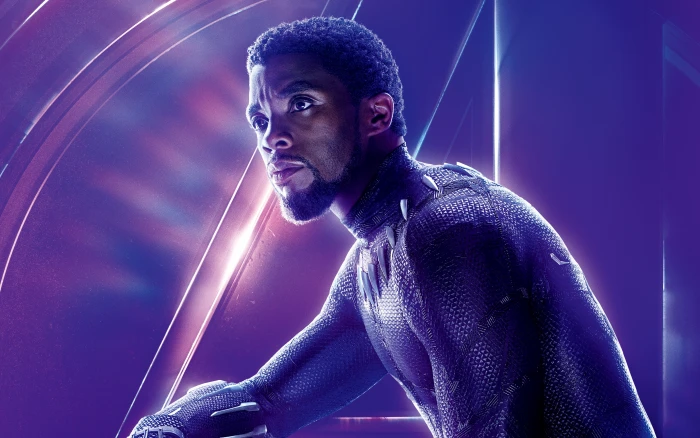 Avengers Infinity War Chadwick Boseman Black Panther one person 2k 4k