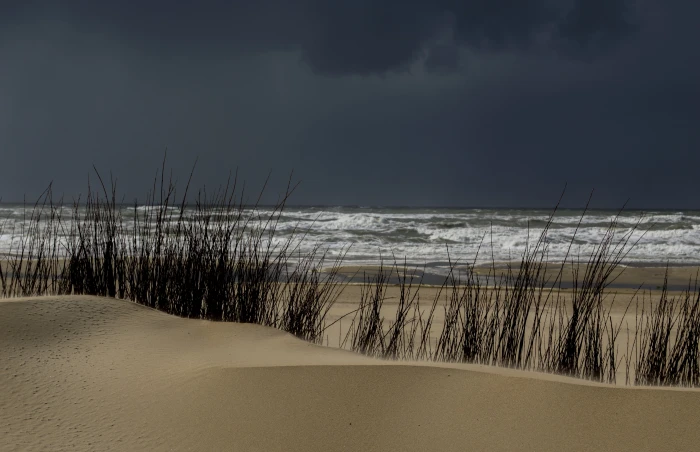 beach during storm Dune Texel Zand Water Zee Sand Beach 2k 4k 5k