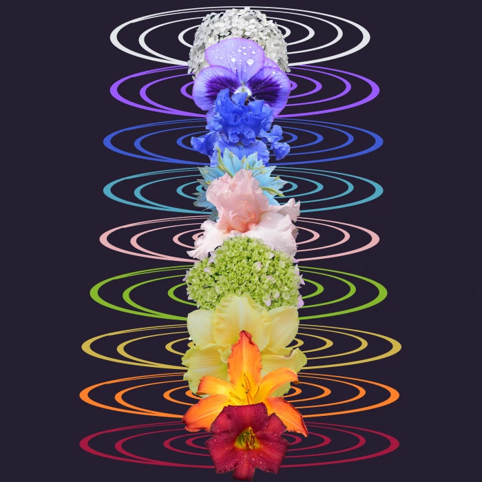 chakras rainbow new age symbol yoga crown circle center 2k 4k 5k