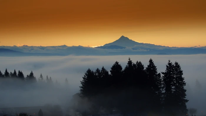 foggy mountain forest ultra hd image beauty in nature sky 2k 4k 5k 8k