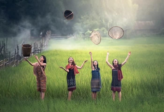 four women on rice field throwing baskets at daytime green countryside 2k 4k 5k