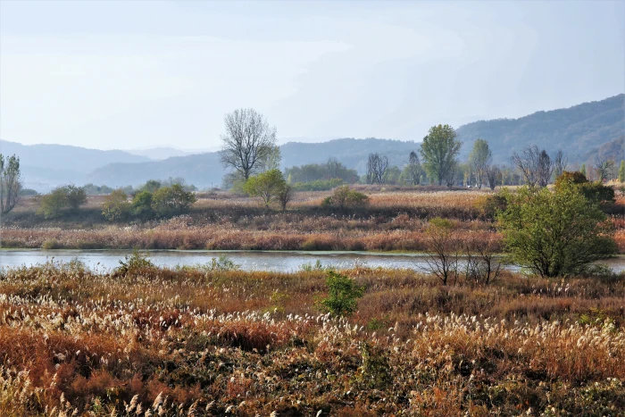 grass field near mountain autumn landscape steel spring island 2k 4k