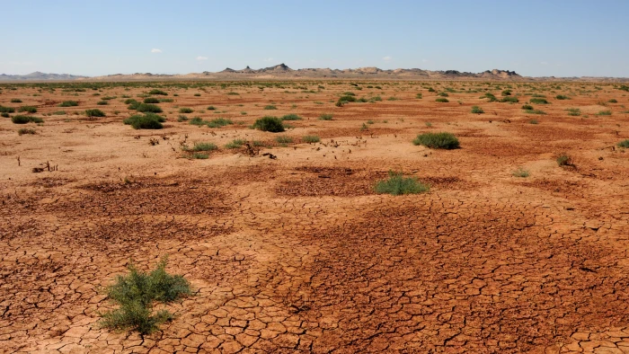 green grasses on brown dry soil mongolia sand desert gobi 2k 4k