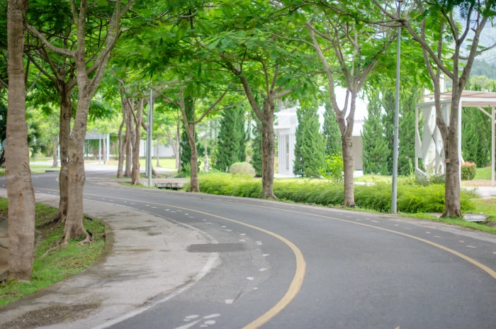 Road with a green tree street transportation travel highway 2k 4k 5k