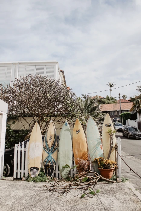six assorted color surfboards on fence tree city street cloud 2k