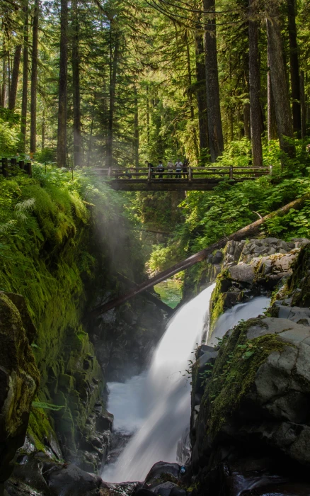 sol duc falls united states rain forest scenery landscape photo 2k