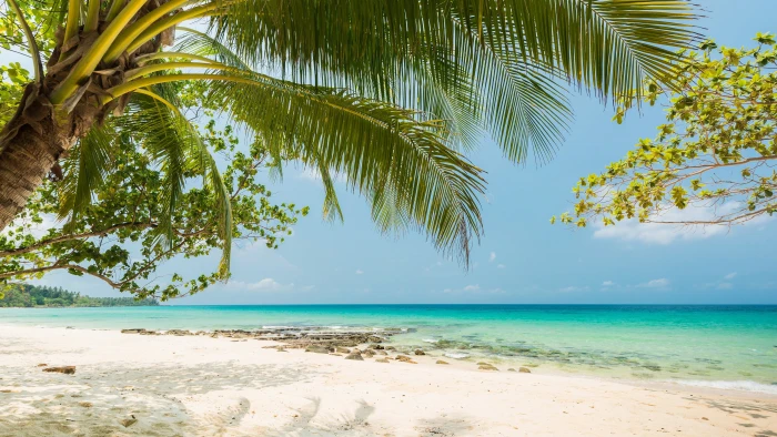 summertime tropics tropical sandy beach shore sea 2k 4k