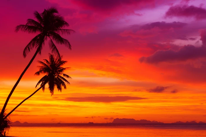 sunset clouds landscape nature tropical beach the ocean 2k 4k 5k