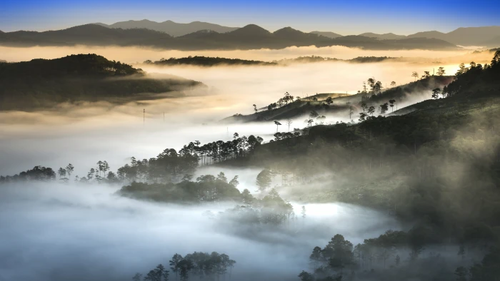 sunset fog forest mountains 2k 4k 5k 8k