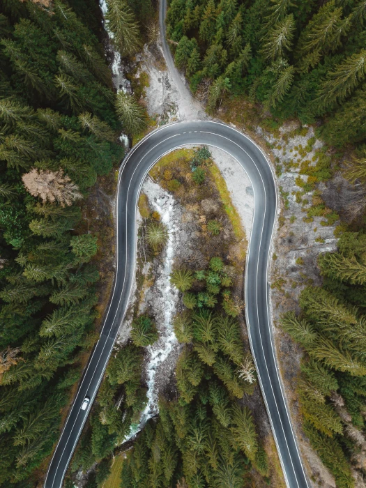 aerial view of curved road surrounded by trees nature scenery 2k