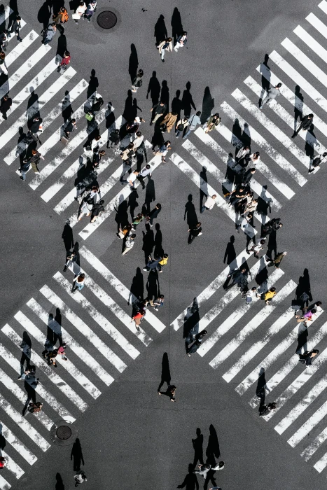 aerial view of people walking on cross pedestrian lane asphalt 2k