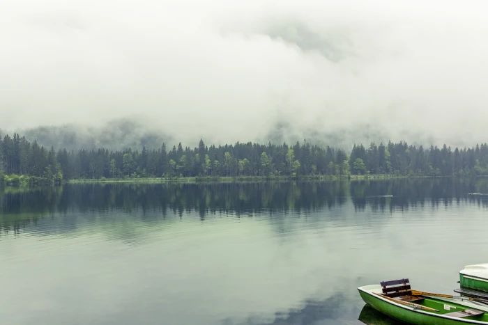 Bavaria pines lake Germany Berchtesgadener Land 2k 4k 5k