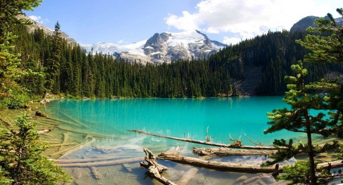 body of water British Columbia Canada lake forest mountains 2k 4k 5k