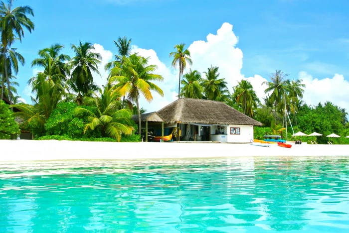 brown and white house on seashore beside coconut trees near green calm sea 2k 4k