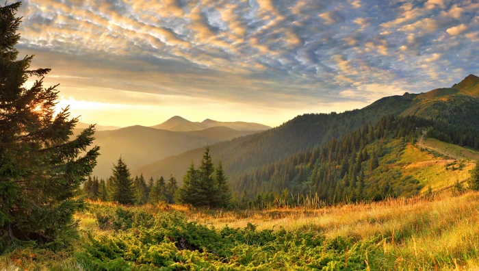 grass mountains nature scenery sky 2k 4k 5k