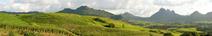 green field mountain mauritius eutrophication hypoxia 2k 4k 5k 8k