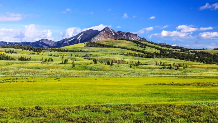 green grass field near mountain under blue sky during daytime yellowstone 2k 4k