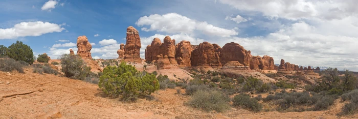 green leafed plant desert rock formation landscape multiple display 2k 4k 5k