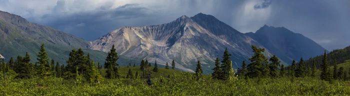 green trees over mountains landscape scenic porphyry mountain 2k 4k 5k 8k