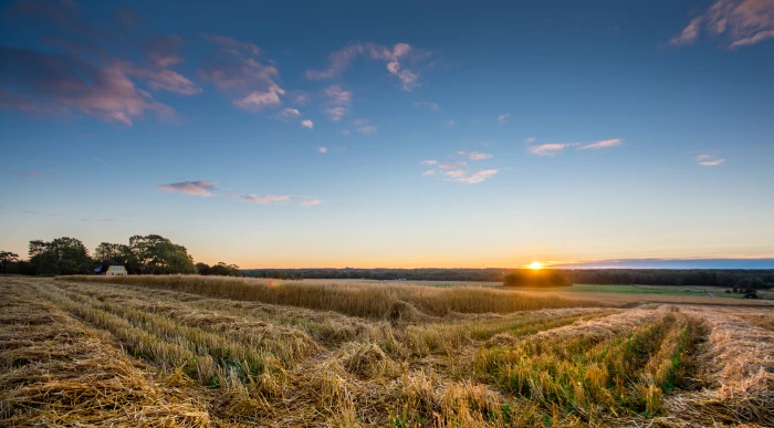 landscape photography of scenery under alto cirrus clouds and clear blue calm sky during sunrise 2k 4k 5k