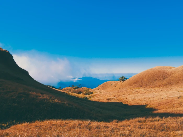 nature landscape scenery scenic mountain mount pulag benguet 2k 4k 5k