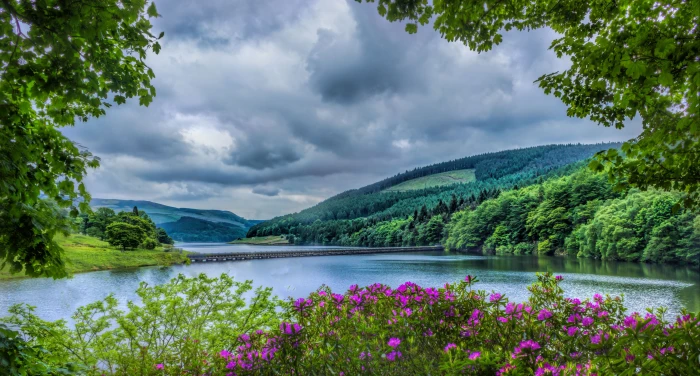 pink outdoor flowers beside river during daytime ladybower reservoir 2k 4k 5k