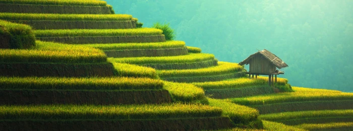Rice Terraces Mountain Landscape brown hut on cascading mountain artwork 2k 4k 5k