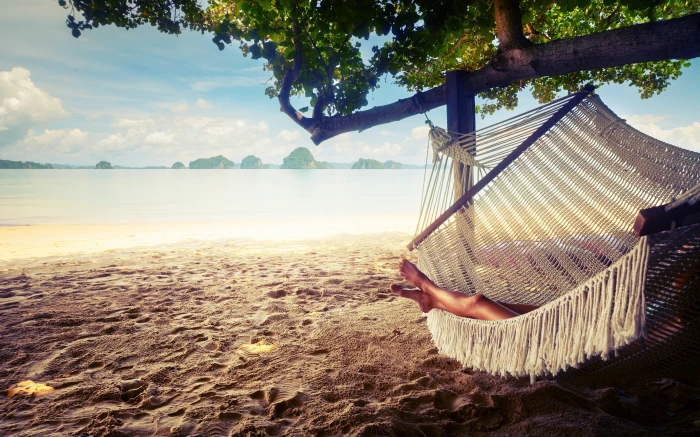 trees hammocks beach landscape sky plant nature water 2k 4k