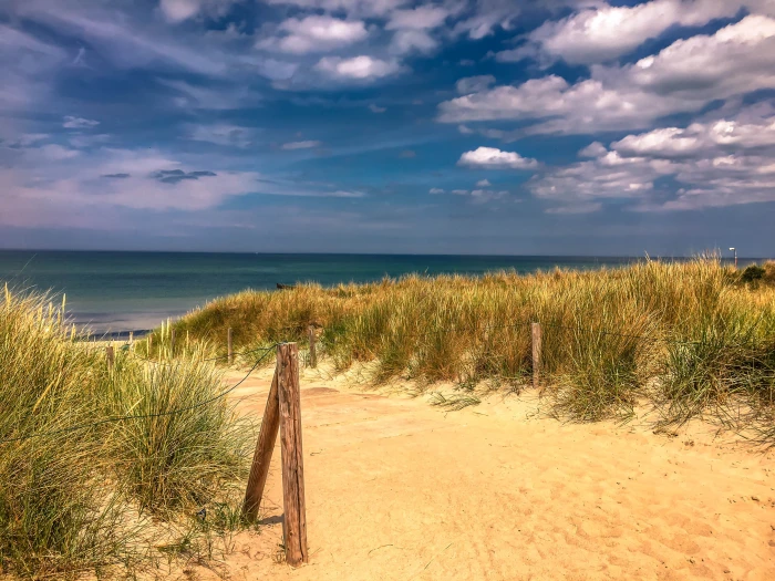 baltic sea darss ahrenshoop reed coast northern germany 2k 4k