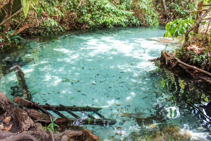 brazil cachoeira do formiga tocantins travel viagem nature 2k 4k 5k