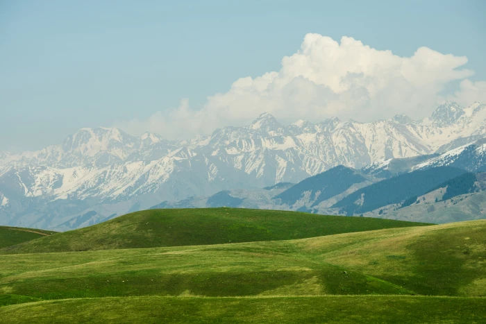 Kazakhstan mountains grass snow field plains green nature 2k 4k 5k