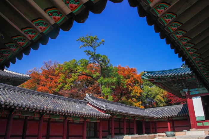 changdeokgung secret garden forbidden city republic of korea 2k 4k 5k
