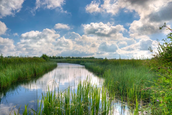 green grass near river with cloudy skies sky blue hdr nature 2k 4k 5k