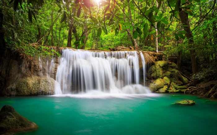 Rainforest Waterfall HD Wallpaper waterfalls Nature Travel 2k 4k 5k