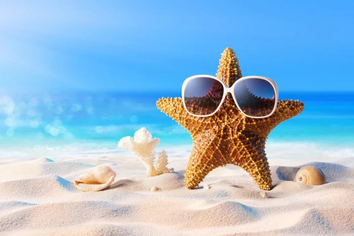 sand sea beach summer star vacation glasses shell starfish 2k 4k 5k