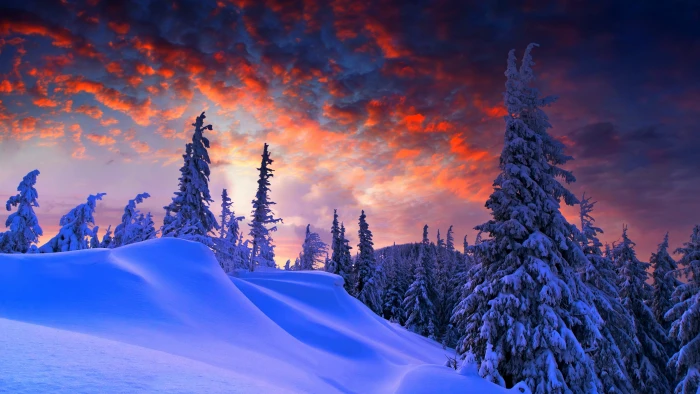 snow covered mountain with pine trees forest winter sunrise 2k 4k 5k 8k