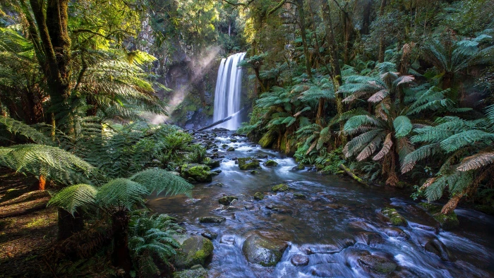 water nature waterfall vegetation jungle ecosystem stream 2k 4k