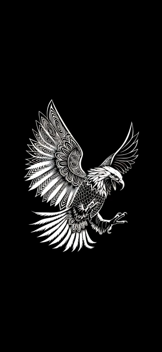 Flying White Eagle amoled minimalism