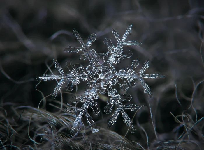Amazing Real Snowflake Macro Seasons Winter Blue Dark Nature 2k