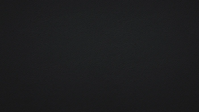 black and white area rug abstract texture simple leather 2k