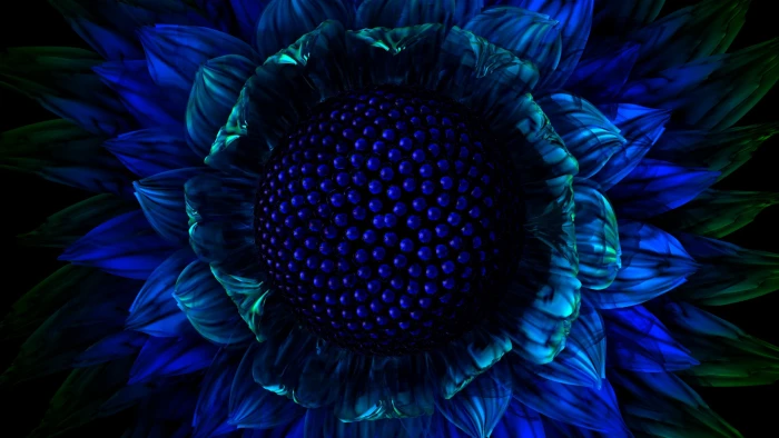 blue sunflower macro photography flowers digital art plants 2k