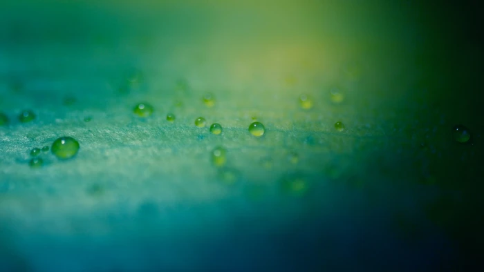 blue surface green water droplets macro drops depth of field 2k