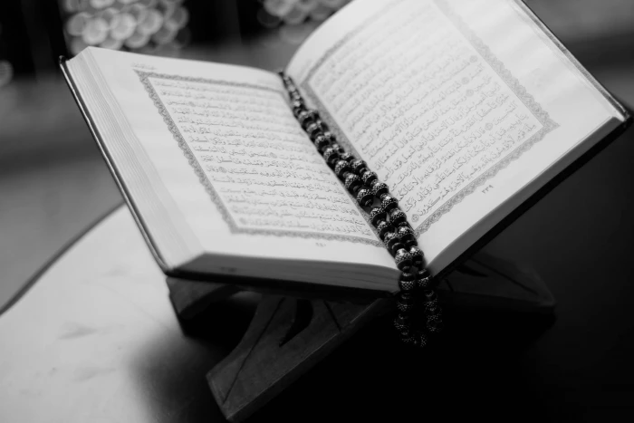 book close up faith holy islam koran macro muslim quran 2k 4k