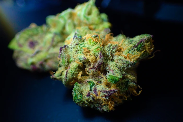 bud cannabis close up dope drug flower ganja green hemp 2k 4k 5k