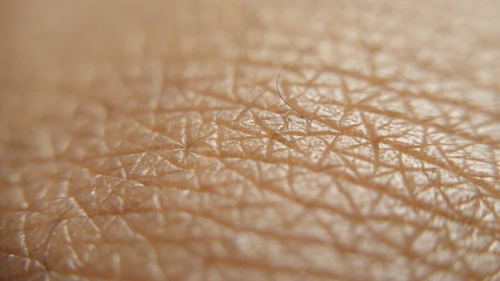 close up photography human skin Brown Skin Up Close 2k 4k 5k