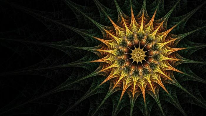 fractal art symmetry close up macro photography pattern 2k