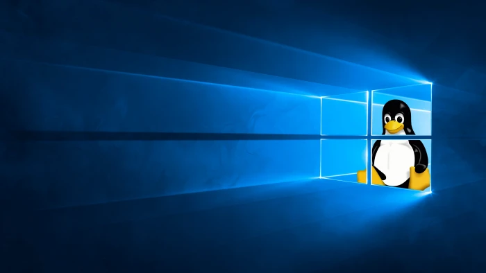 Linux Windows 10 2k 4k