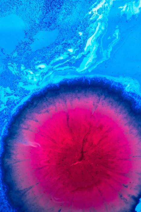 liquid spots paint blue pink close up no people water 2k 4k